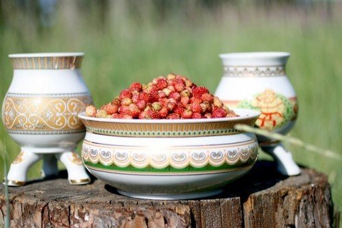 Марина мисочка Лесной