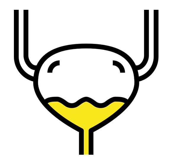 Мочевой пузырь пиктограмма