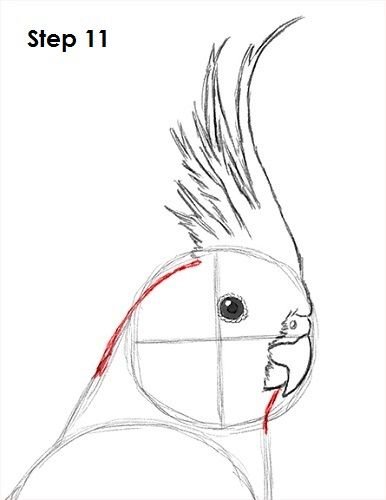 Крелларисунок для срисовки