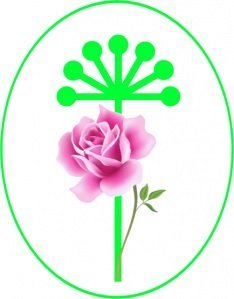 Цветок курая рисунок (48 фото)