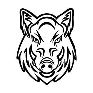 Кабан вектор