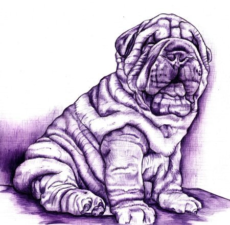 Тату шарпей эскиз