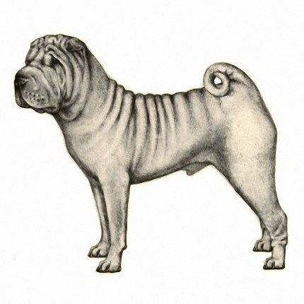 Шарпей вектор