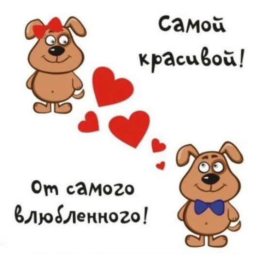 Открытки для любимой девушки прикольные