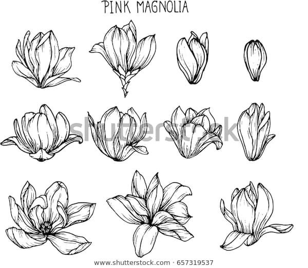 Бутон цветка эскиз