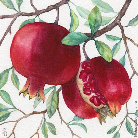 Цветок граната орнамент