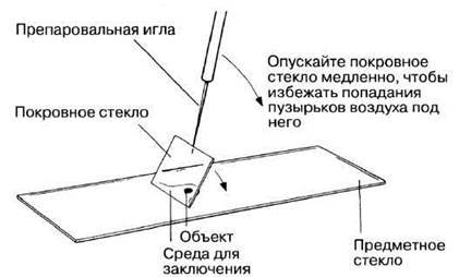 Заключение срезов в оптически прозрачную среду