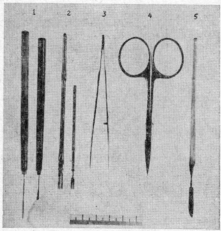Препаровальная игла для изучения биологии