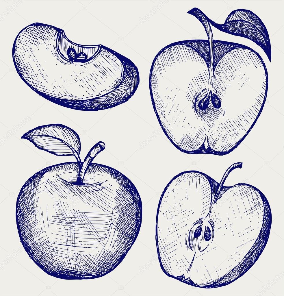 Рисование яблоко в разрезе