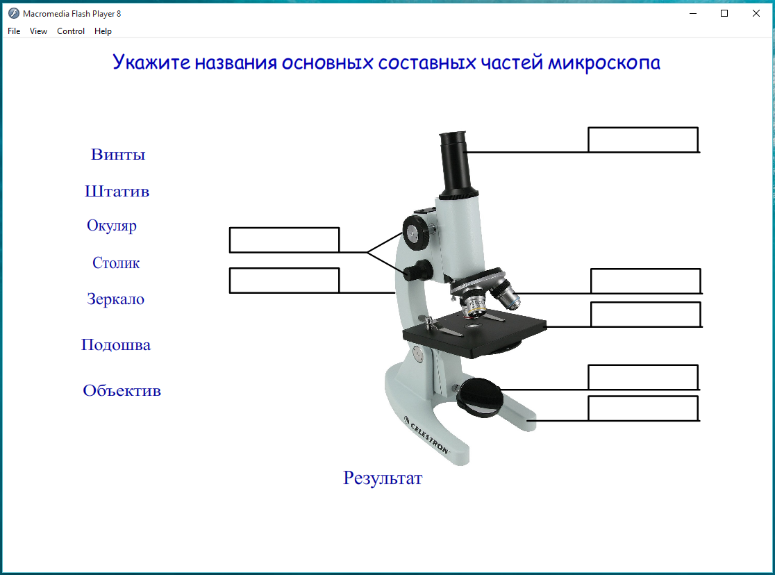 Какую функцию выполняет основа микроскопа. Строение светового микроскопа 5 класс биология. Строение микроскопа 5 класс ВПР. Строение микроскопа 5 класс. Структура микроскопа 5 класс биология.
