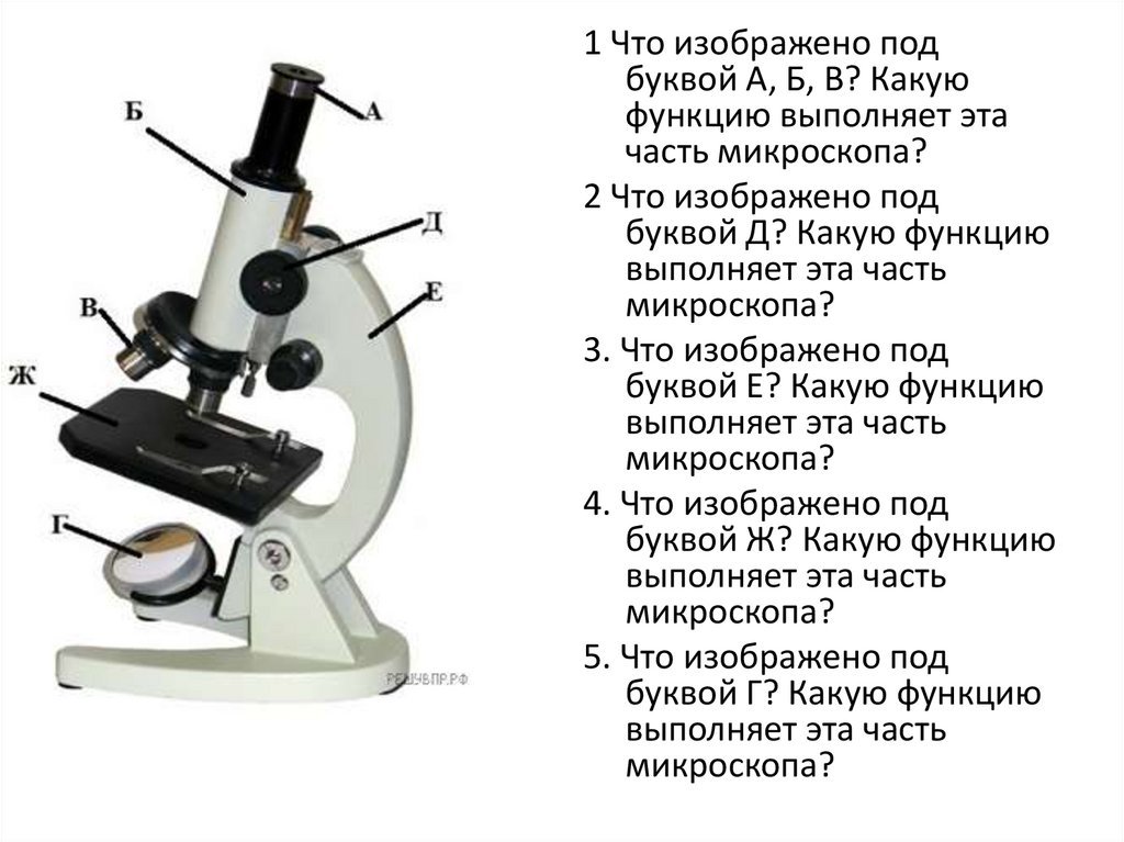 Цифровой микроскоп строение. Строение микроскопа. Цифровой микроскоп строение 5 класс. Цифровой микроскоп биология 5 класс. Строение микроскопа с подписями и их функции