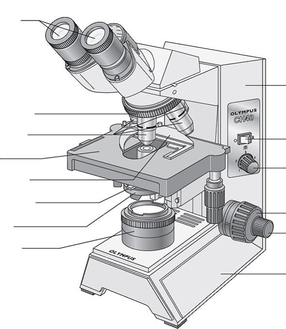 Электронный микроскоп впр 5 класс биология. Бинокулярный микроскоп строение. Цифровой микроскоп qx7 строение. Цифровой микроскоп бинокулярный. Бинокулярный микроскоп схема.