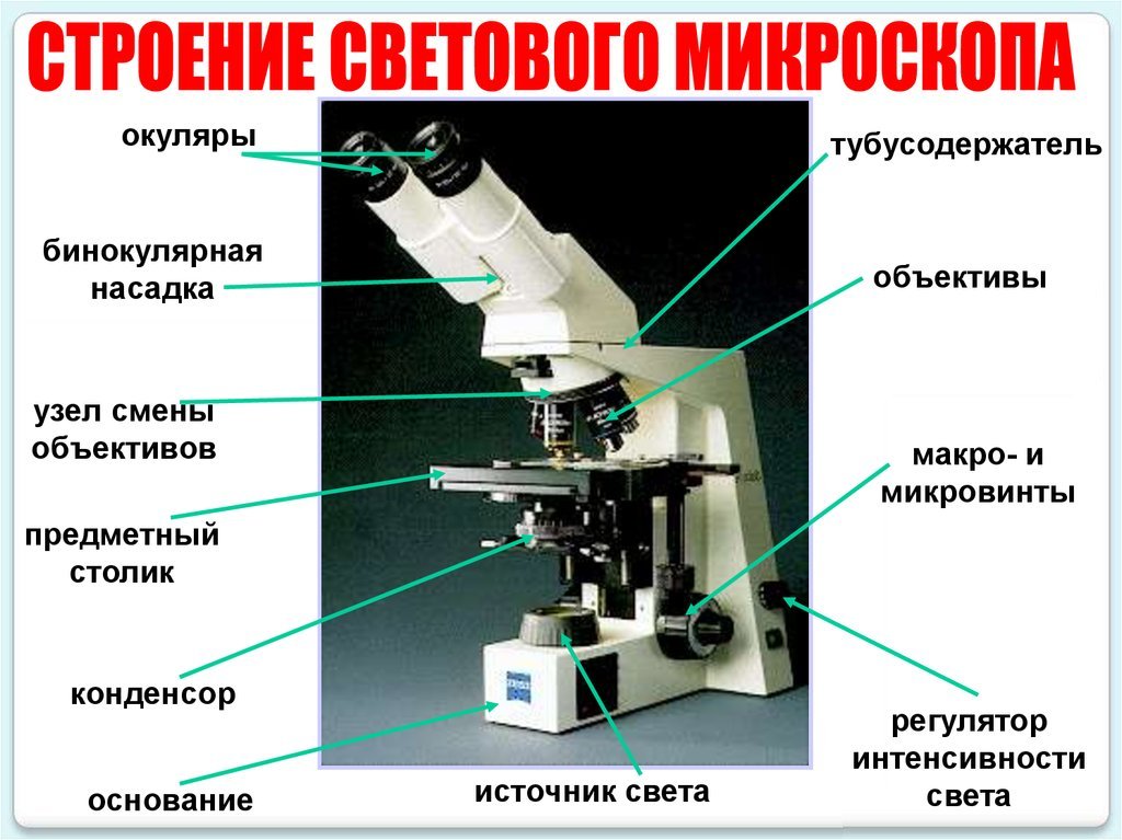 Каждая часть микроскопа. Строение светового микроскопа Микмед 5. Световой микроскоп строение конденсор. Строение микроскопа тубусодержатель. Строение бинокулярного микроскопа схема.
