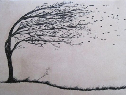 Рисование дерево на ветру
