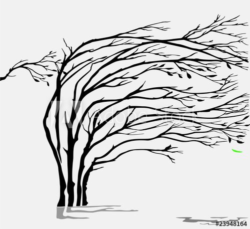 Дерево на ветру Графика
