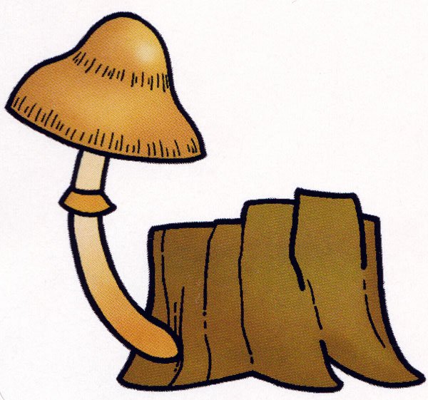 Опята на пне рисунок для детей