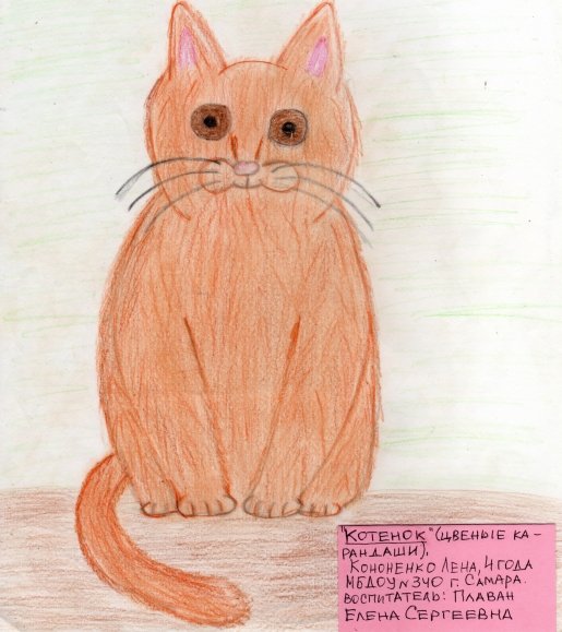 Рисунок рыжего котенка для срисовки