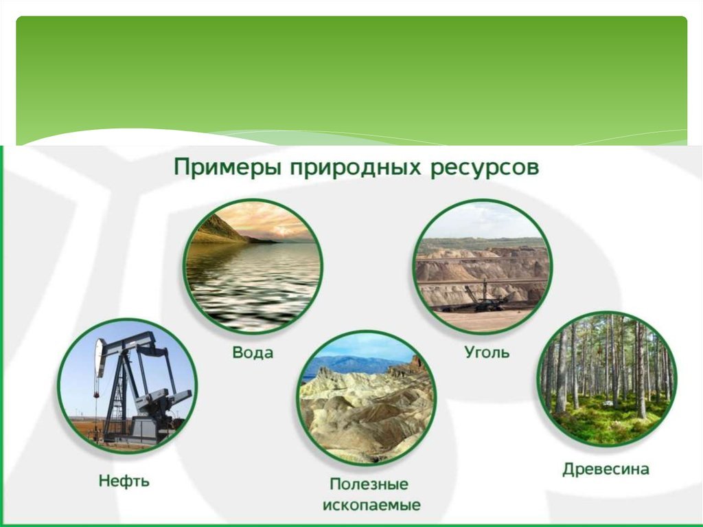 Виды природных ресурсов которыми богата россия. Природные ресурсы. Природные богатства. Примеры природных ресурсов. Природные ресурсы примеры.