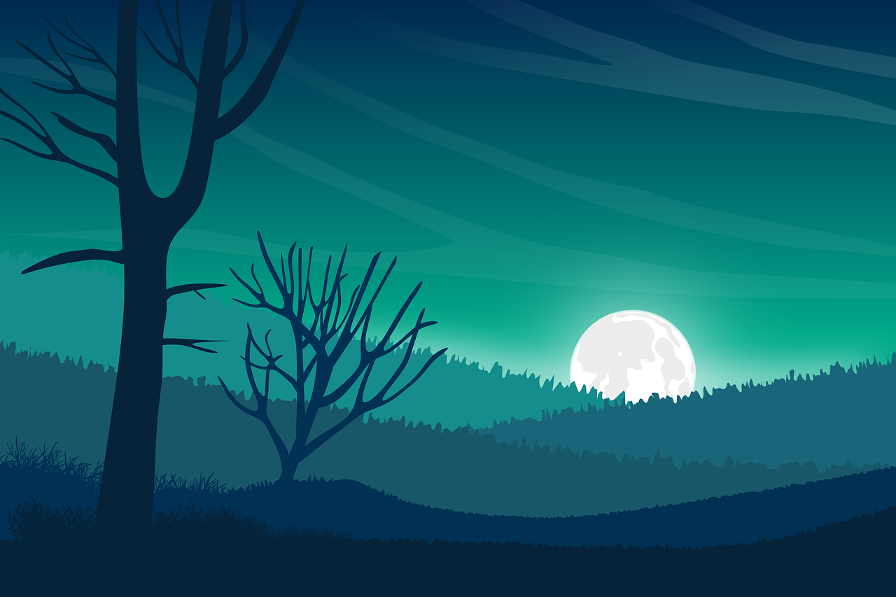 Мультяшная ночь картинки. Пейзаж Минимализм. Мультяшный пейзаж ночью. Нарисованный лес ночью. Ночной лес мультяшный.