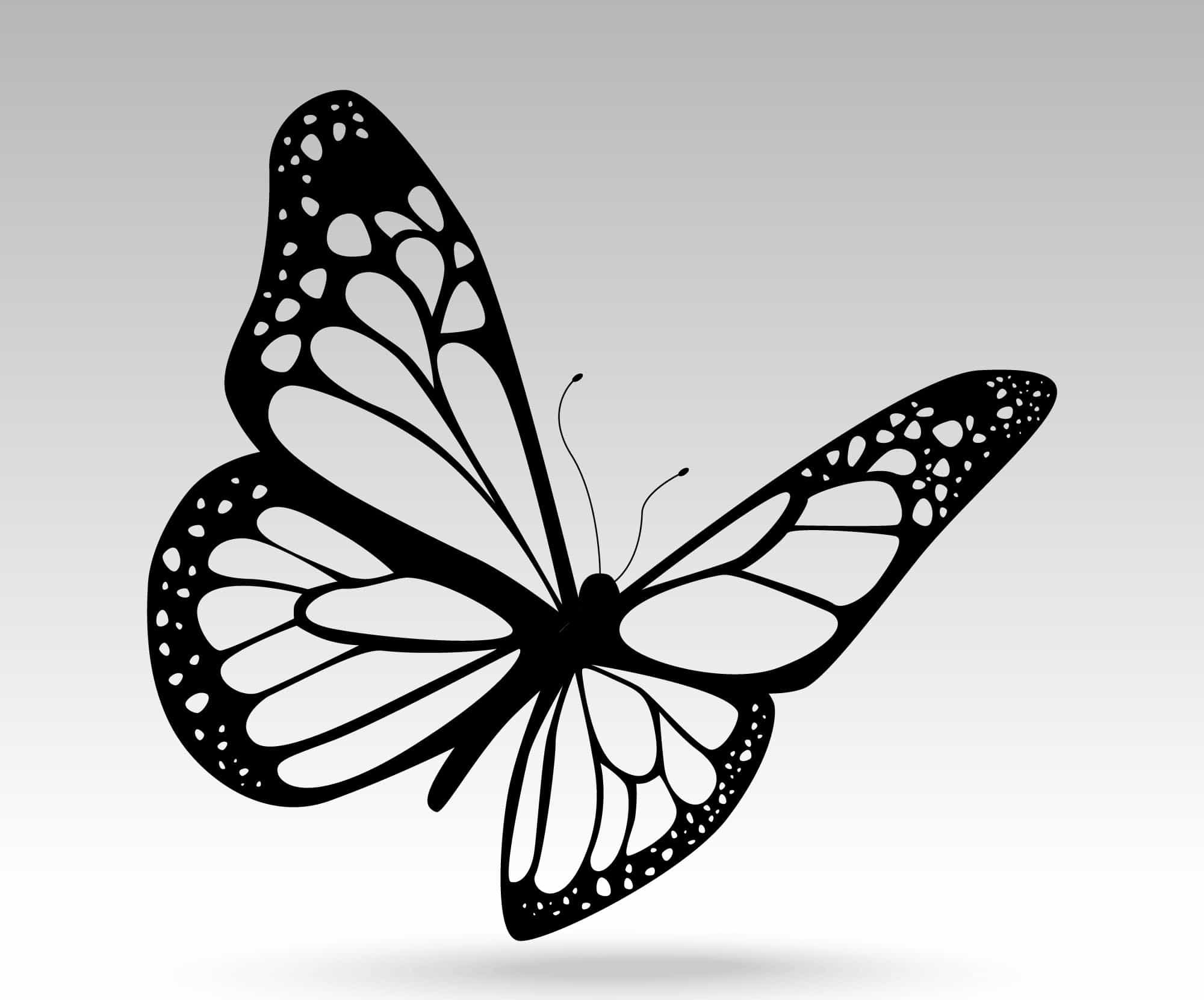 Векторное изображение бабочки