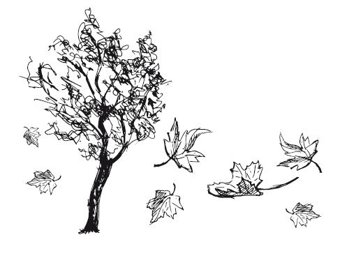 Падающий лист скетч
