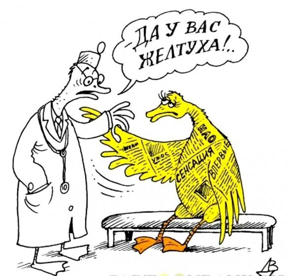 Газетная утка