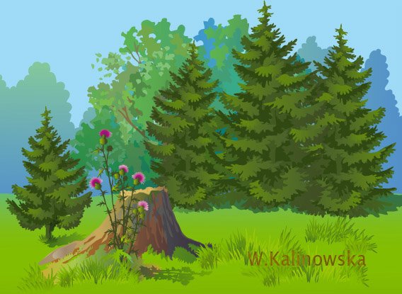 Голос леса для детей. Иллюстрация леса для детей. Лес картинка для детей. Опушка леса это дошкольникам. Лес рисунок для детей.