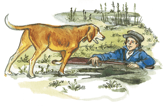 Михаил Михайлович пришвин кладовая солнца иллюстрации