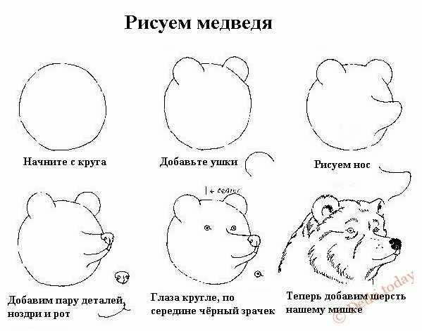 Схема рисования белого медведя