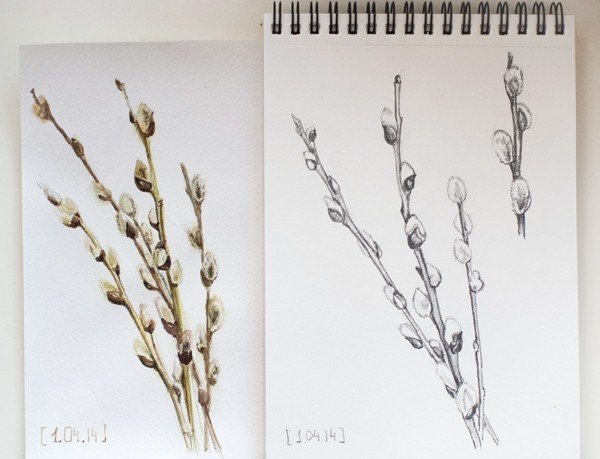 Ветка вербы гуашью