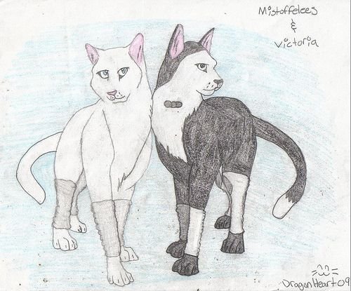 Мюзикл кошки Деметра