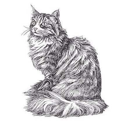 Графическое изображение кошки