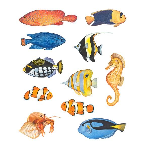 Морские рыбы рисовать