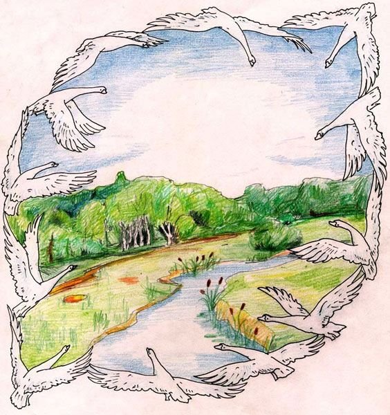 Энигма Тюрина Александра