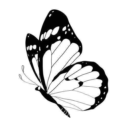 Бабочка боком