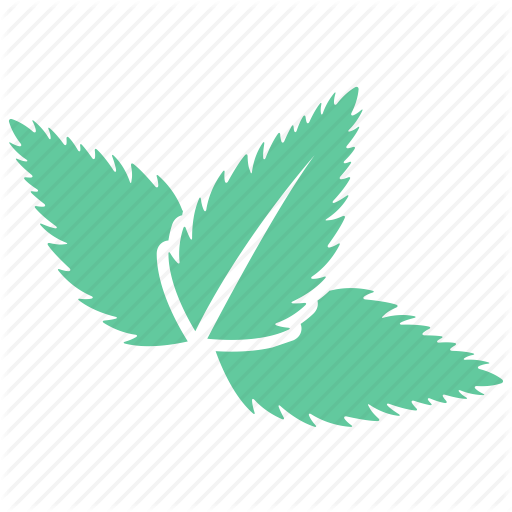 Лист мяты вектор