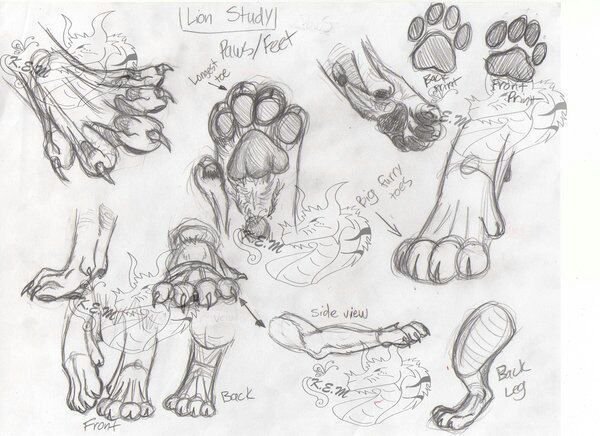 Лапка собаки арт