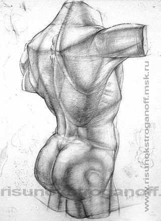 Построение фигуры человека Академический рисунок