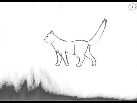 Ходьба котов