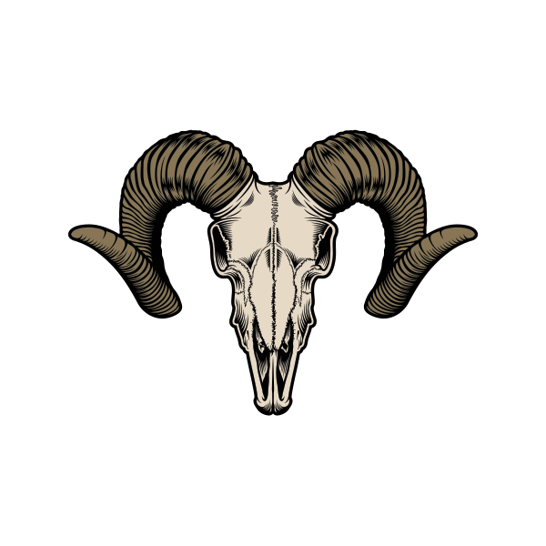 Череп козла Эстетика сбоку