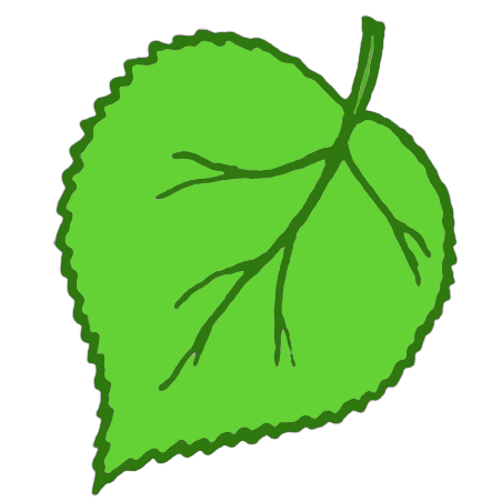 Лист березы для детей