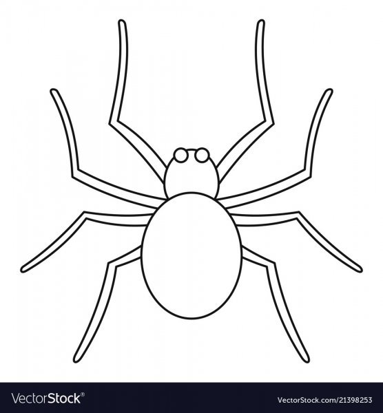 Паук трафарет