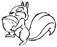 Белочка рисунок мультяшный