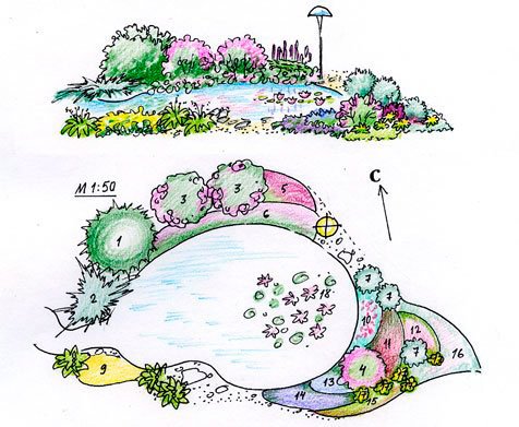 Клумбы с хвойниками схемы посадки