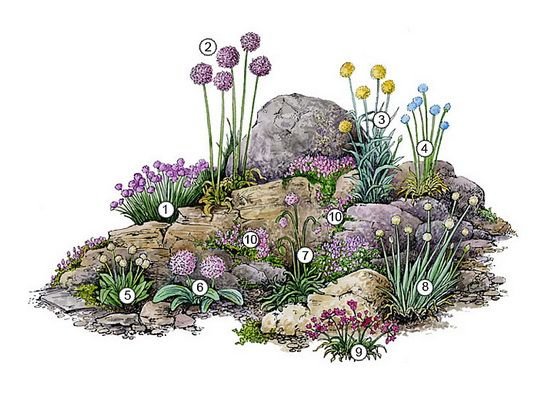 Рокарий в ландшафтном дизайне схемы