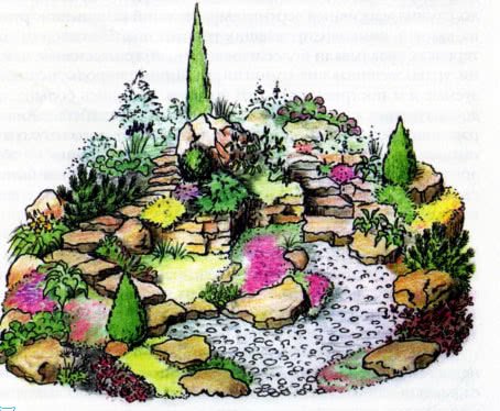 Альпинарий с названиями растений