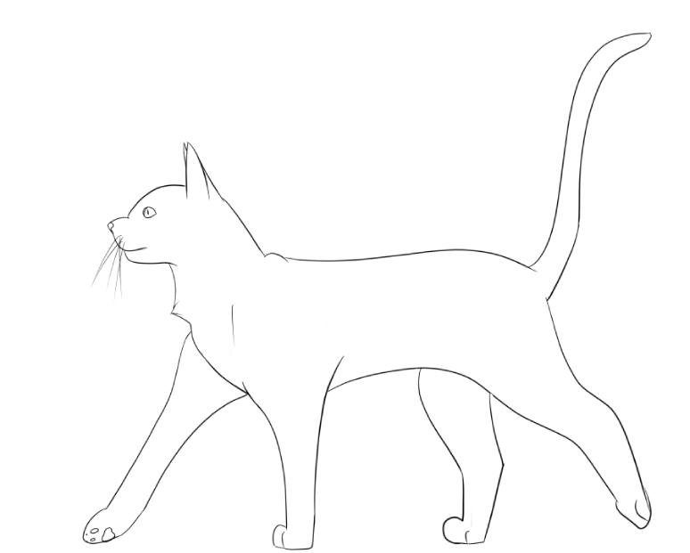 Кот с боку рисунок