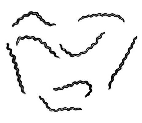 Рисунок спирохеты (49 фото)