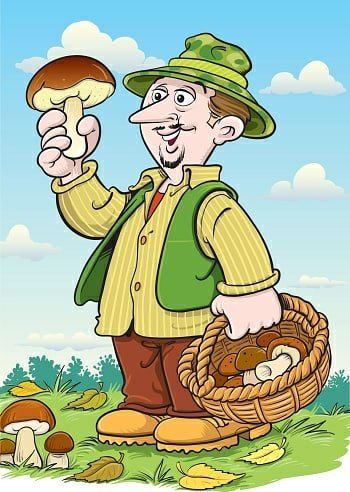 Дети собирают грибы