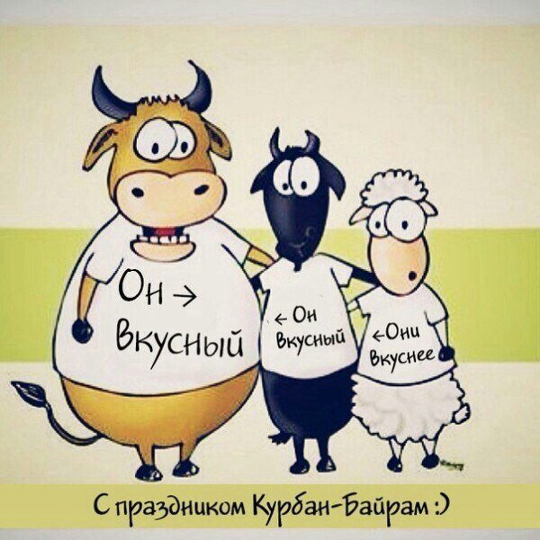 Курбан-байрам поздравления прикольные
